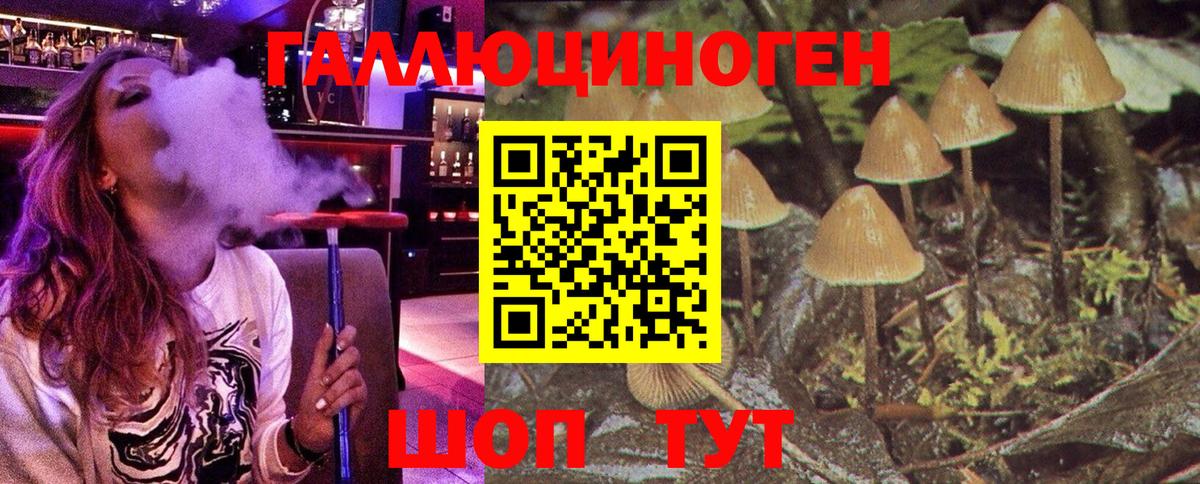 Галлюциногенные грибы Cubensis  Вход с VPN  Котовск 